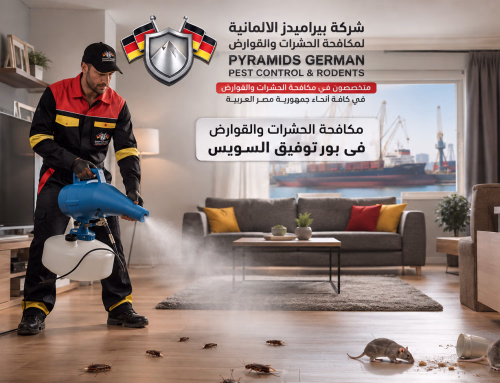شركة مكافحة حشرات في بور توفيق 01041778591 خصم 50%