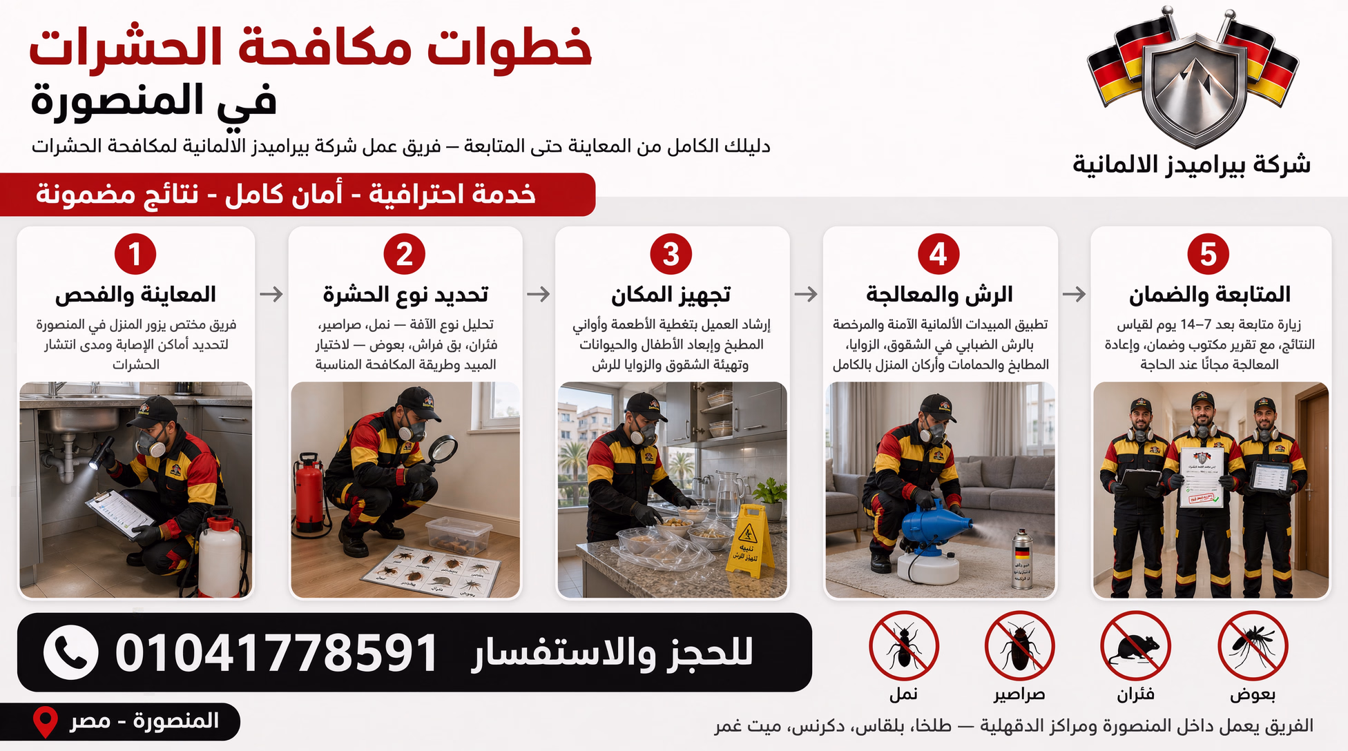 خطوات مكافحة الحشرات في المنصورة