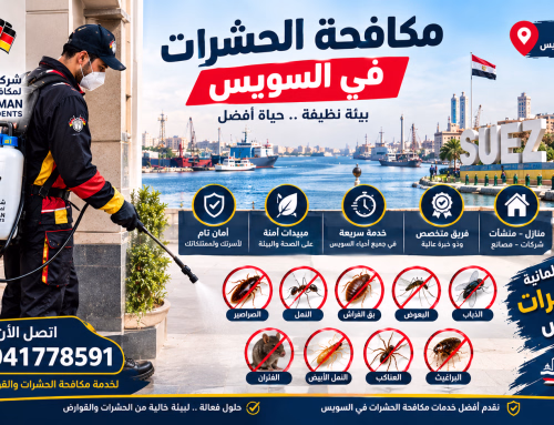 شركة مكافحة حشرات في السويس 01041778591 خصم 50%