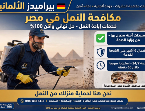 مكافحة النمل خصم 50%
