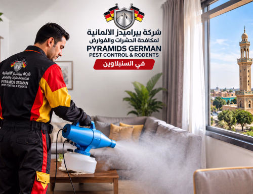 شركة مكافحة حشرات في السنبلاوين 01041778591 خصم 50%