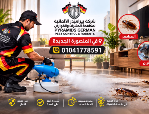 شركة مكافحة حشرات في المنصورة الجديدة 01041778591 خصم 50%