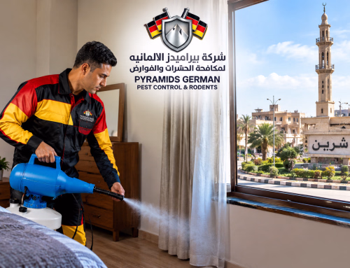 شركة مكافحة حشرات في شربين 01041778591 خصم 50%